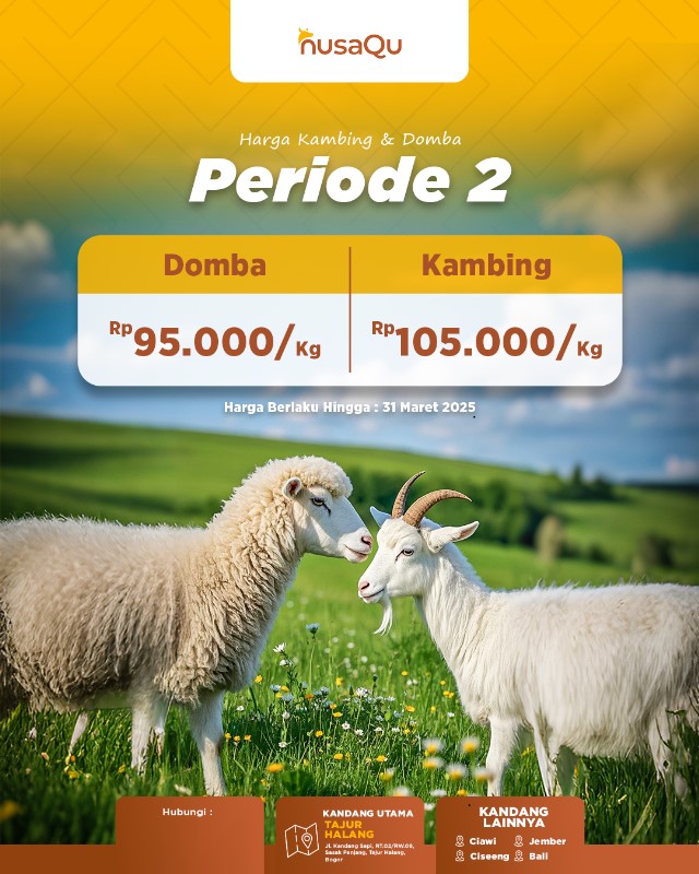 Gambar Artikel